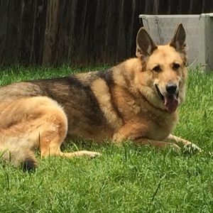 Meet your Posher, Tammy